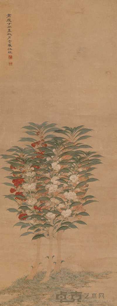 江桂 1817年作 凤仙花 立轴 114×43.5cm